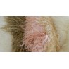 Tibetan Lamb Pink 9" x 11"