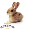 Baby Bunny Kit 15cm