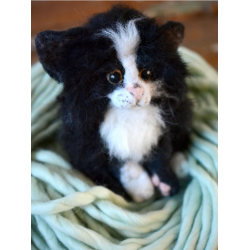 Supply Pack - Fuzzy Kitten
