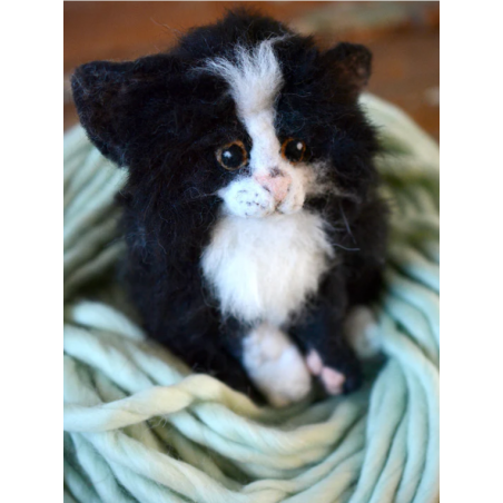 Supply Pack - Fuzzy Kitten
