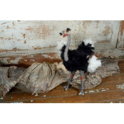 Ostrich Supply Pack - Level 3